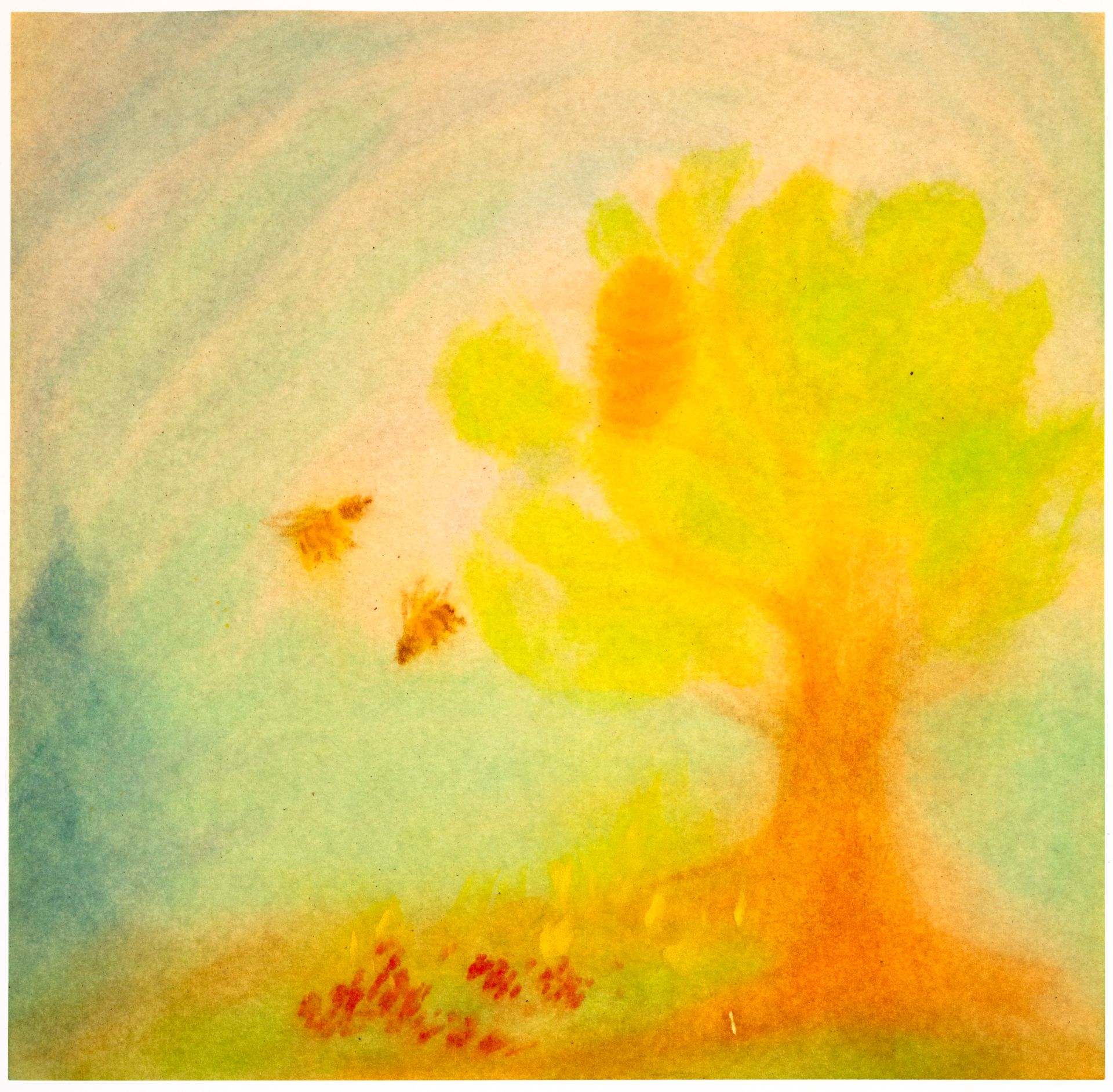 Ilustración 1 de Fábula de dos abejas